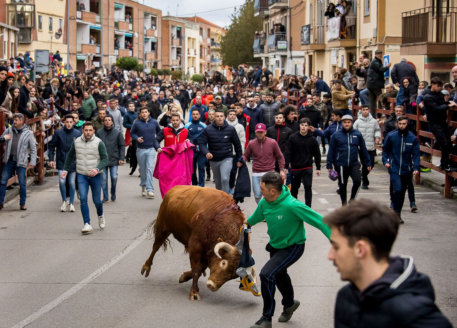 Gran expectación con el Toro de San Sebastián de Ciudad Rodrigo