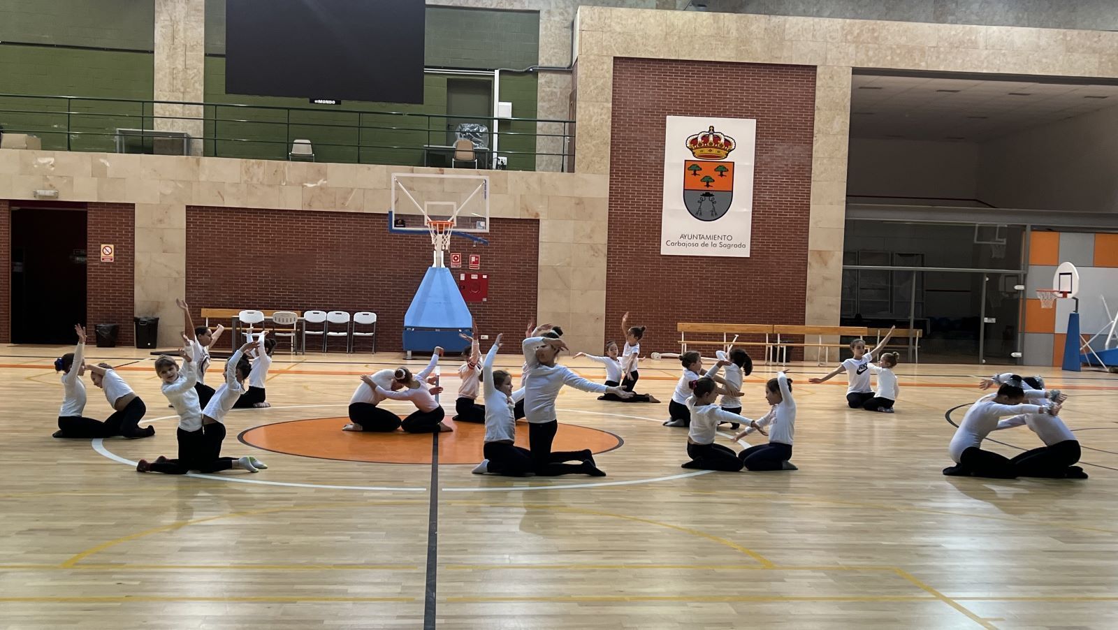 carbajosa-exhibicio-n-gimnasia-ri-tmica-5