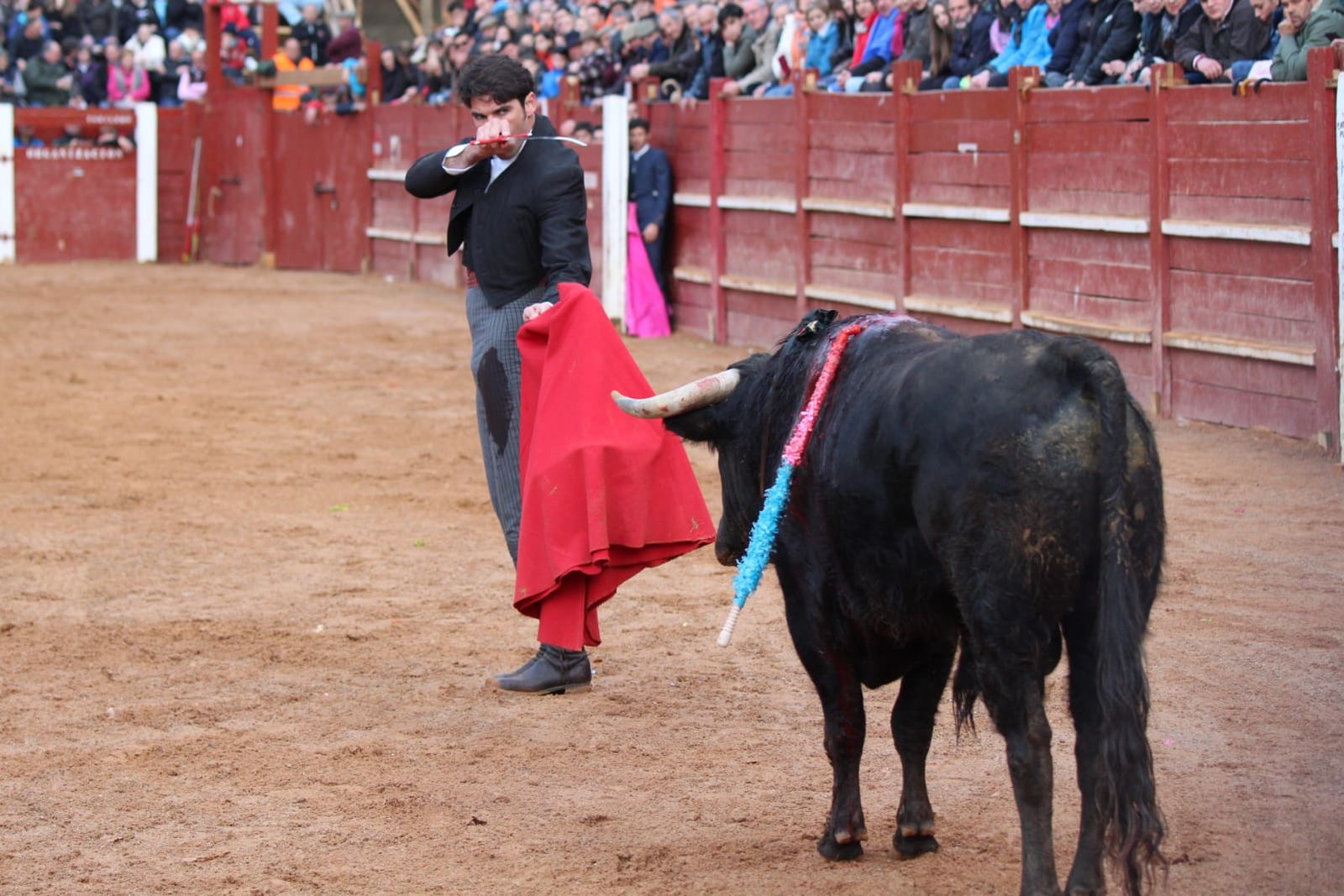 whatsapp-image-2023-02-21-at-17-38-28