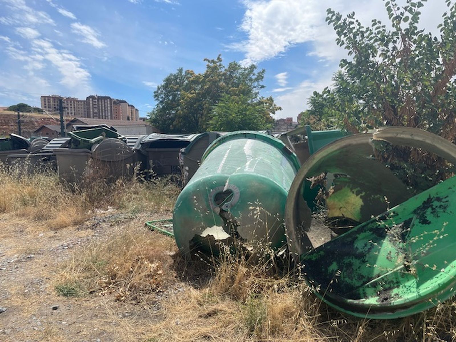 Residuos en el exterior de la estación de tren de Zamora