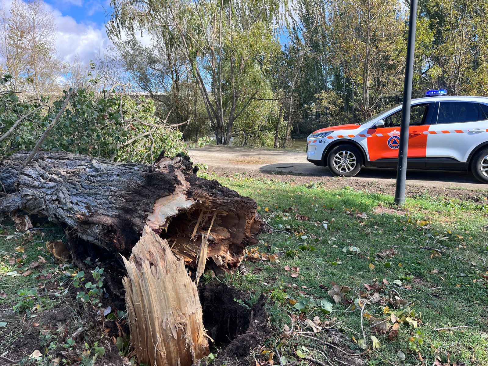 imagen-de-whatsapp-2024-10-09-a-las-17-45-01-d497f4e5