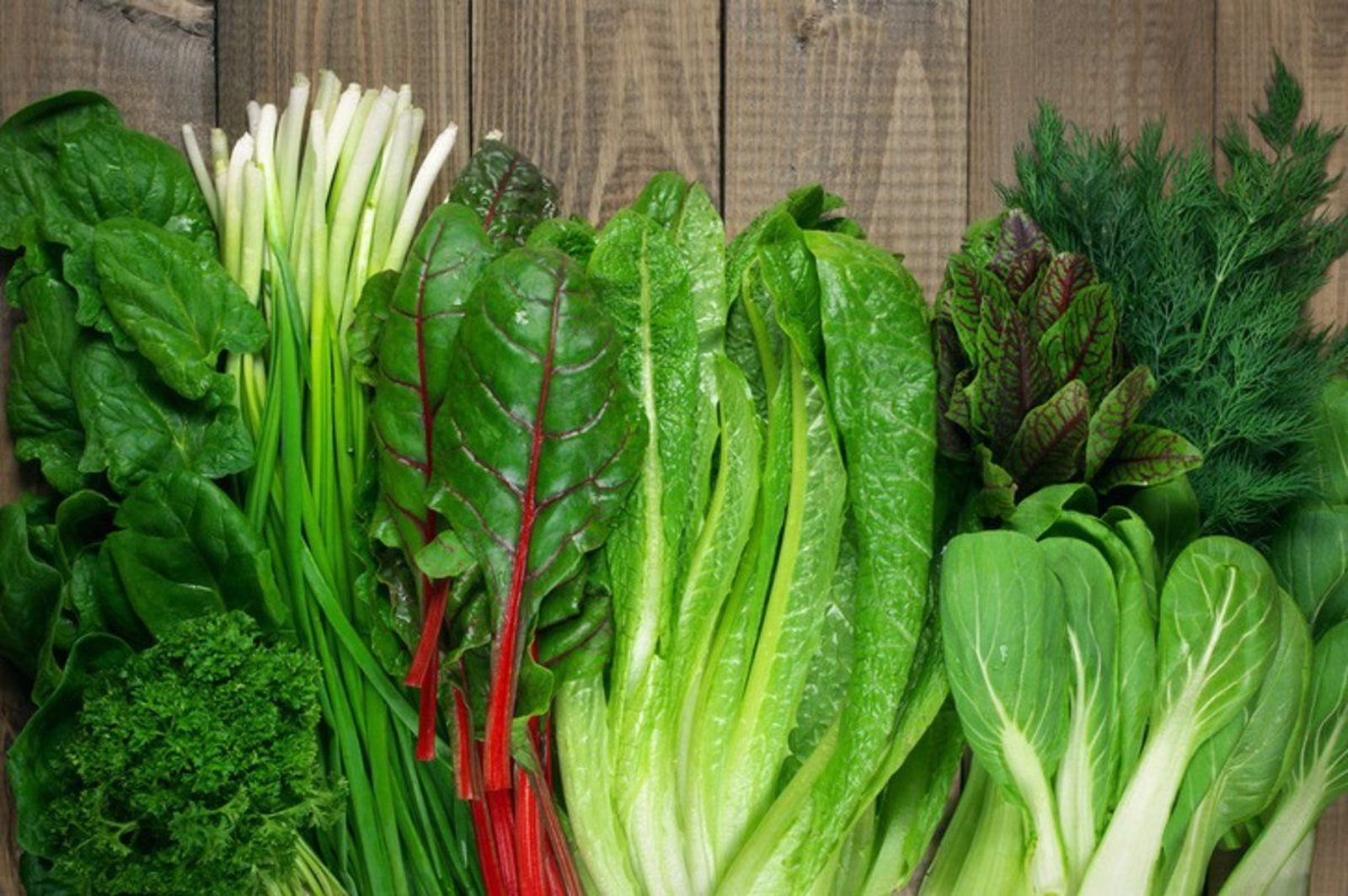 Verduras de hoja verde. EP Verduras de hoja verde. EP
