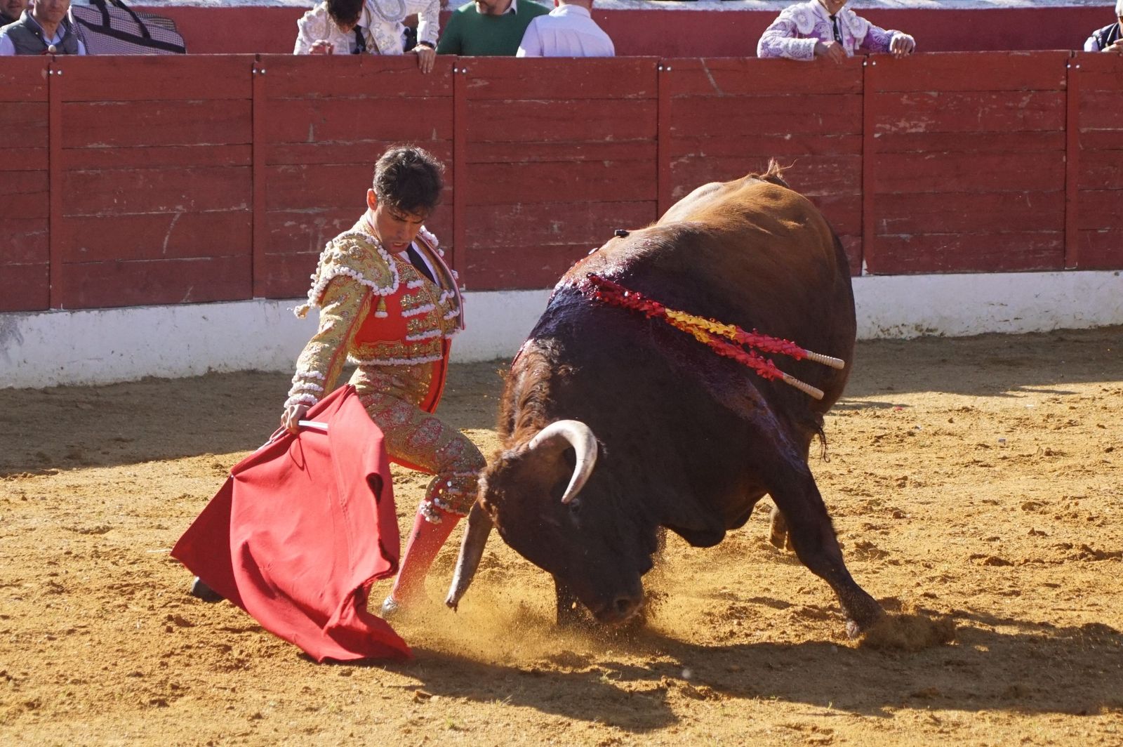 novillada-con-picadores-en-villoria-51