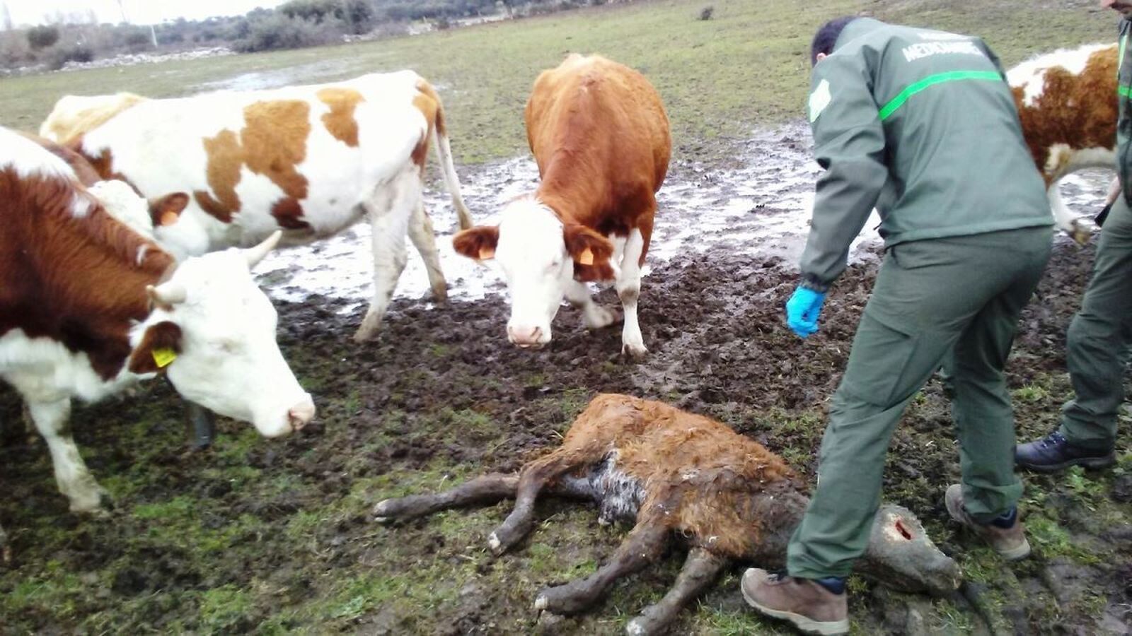 WhatsApp Image 2018 03 21 at 11.33.06 (1)