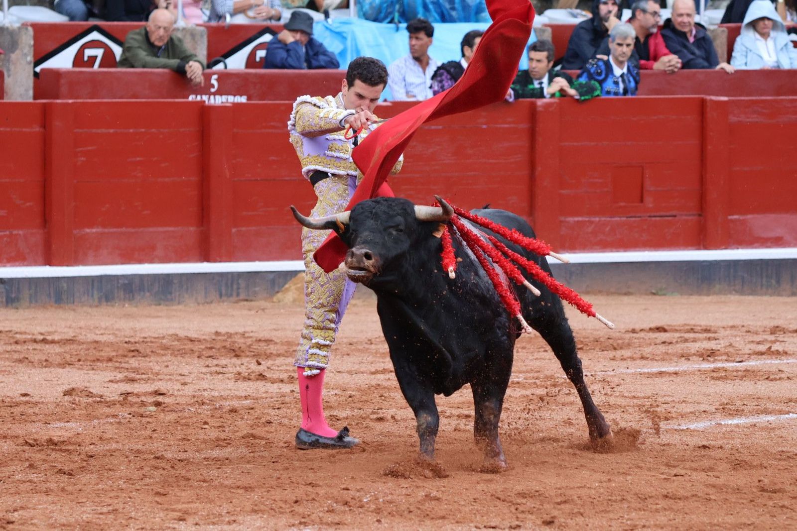 20230915172411-img-3926