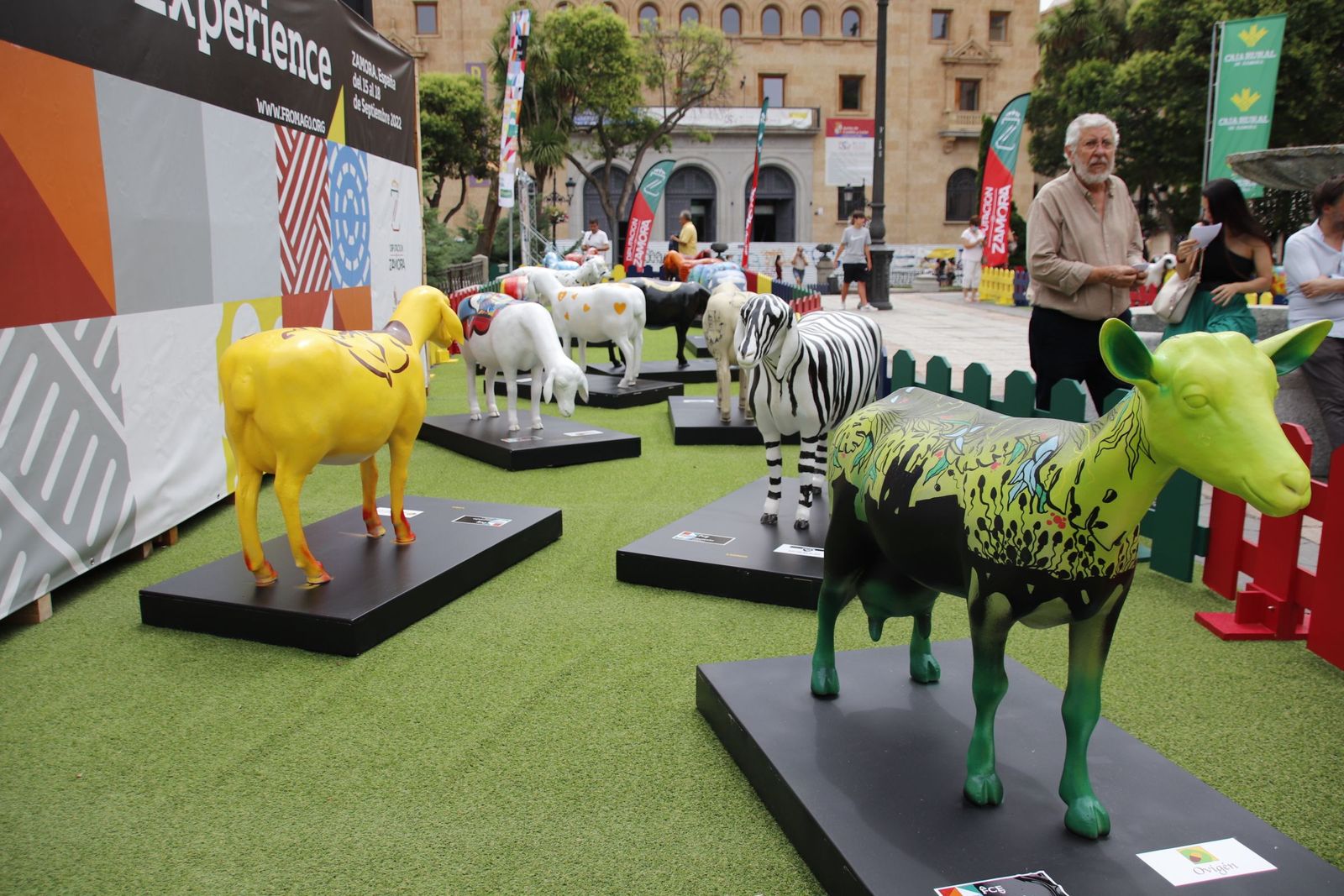 Fromago en Salamanca (31)