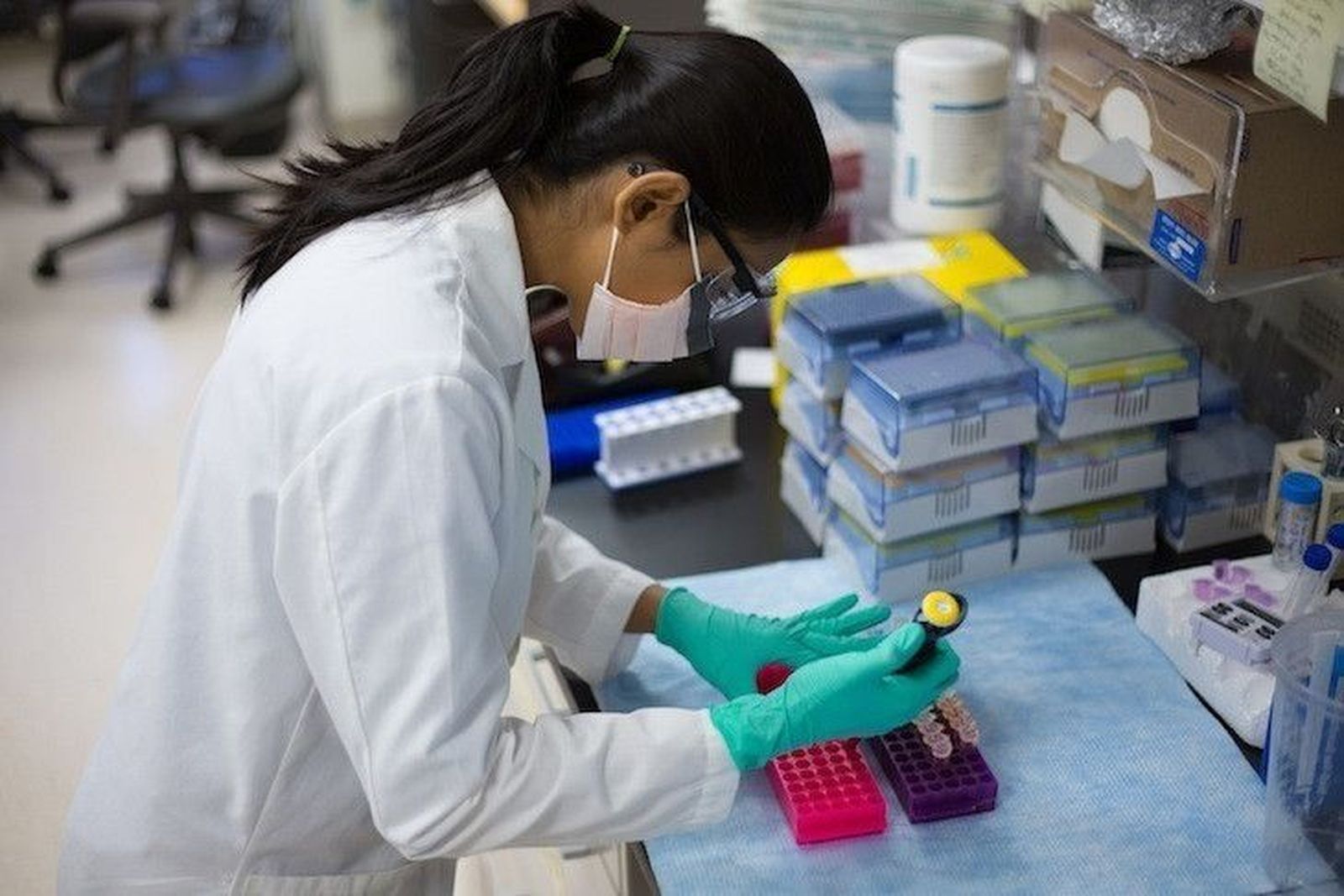 León acogerá el evento anual de biotecnología más importante de España en 2017. Foto de archivo