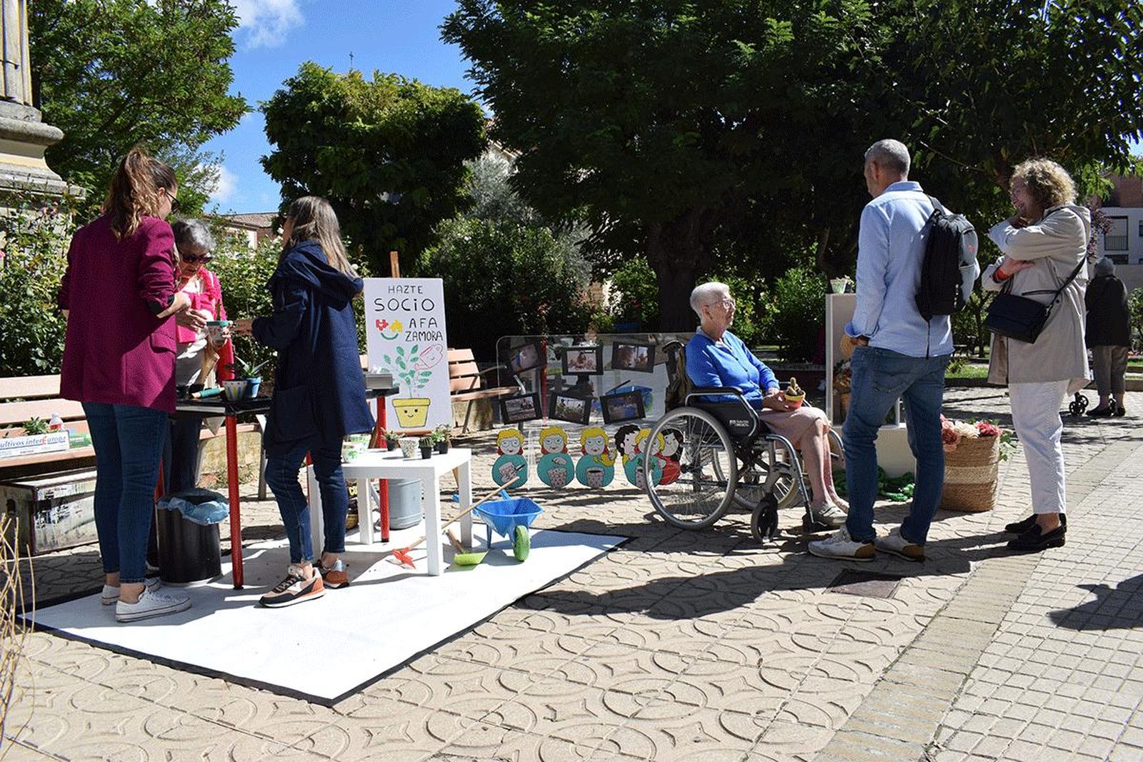Imagen de la actividad realizada por AFA Zamora