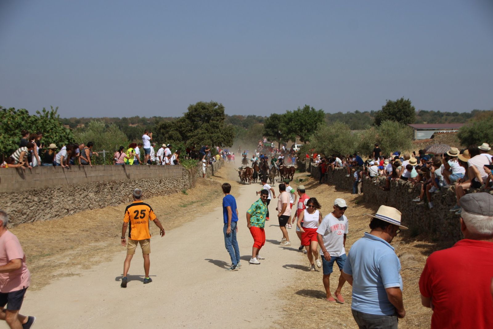 Lumbrales encierro a caballo, dia 2