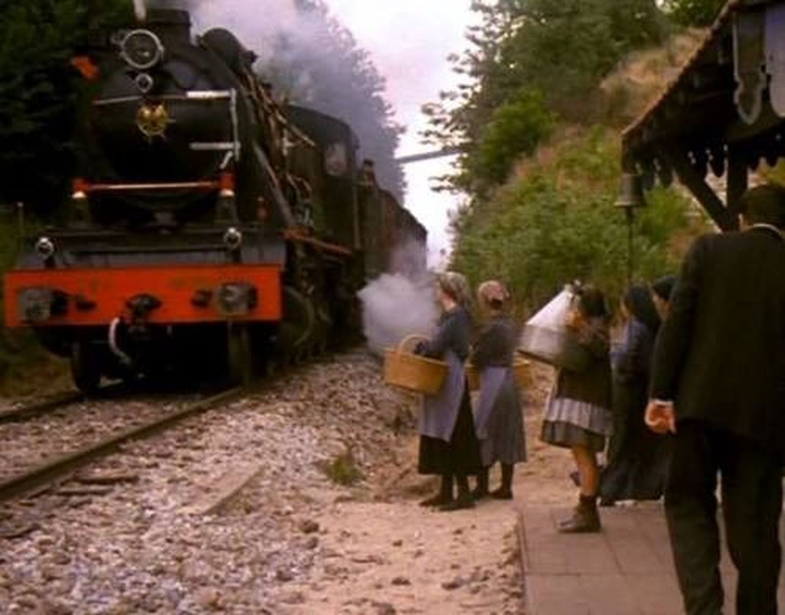 22215103 736597613190440 1622533173 n