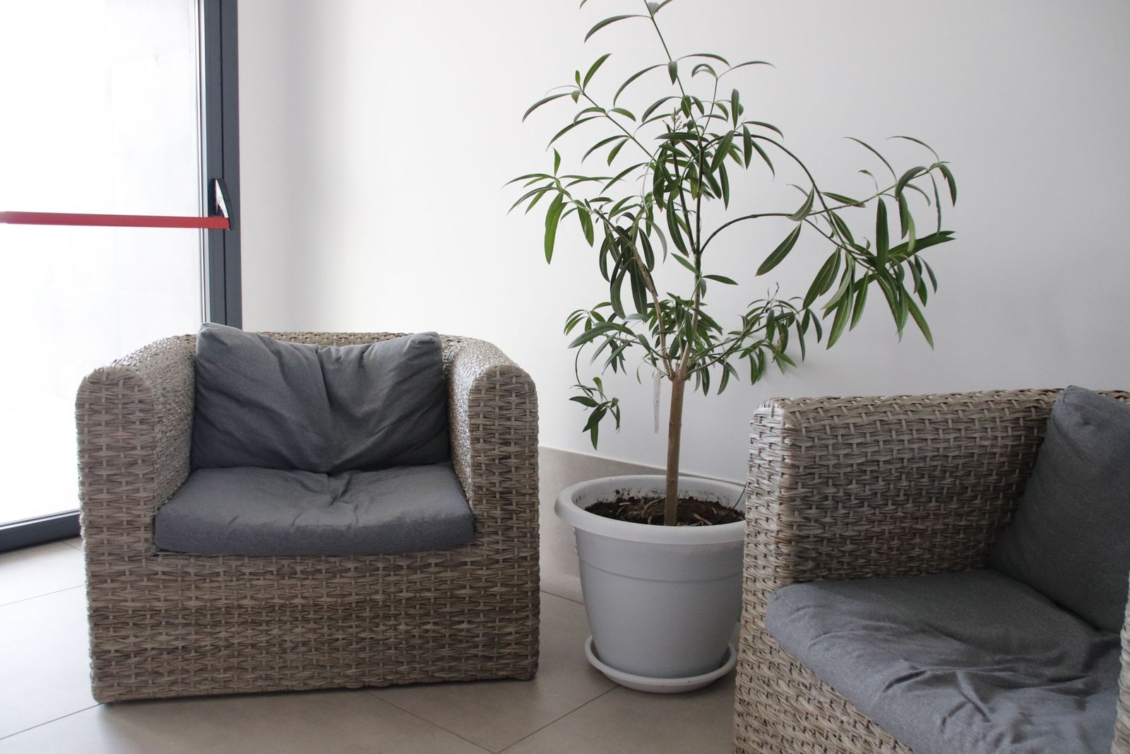 20230215105252-mg-6315