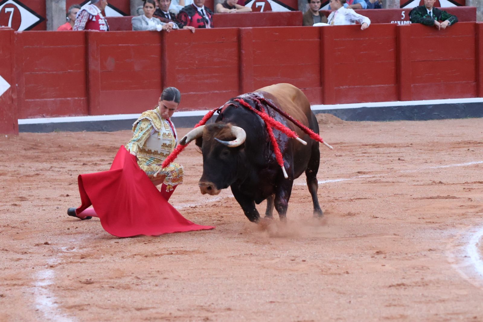 La Glorieta revive el aroma de la feria taurina con el primer festejo: Lea Vicens, Raquel Martín y Olga Casado