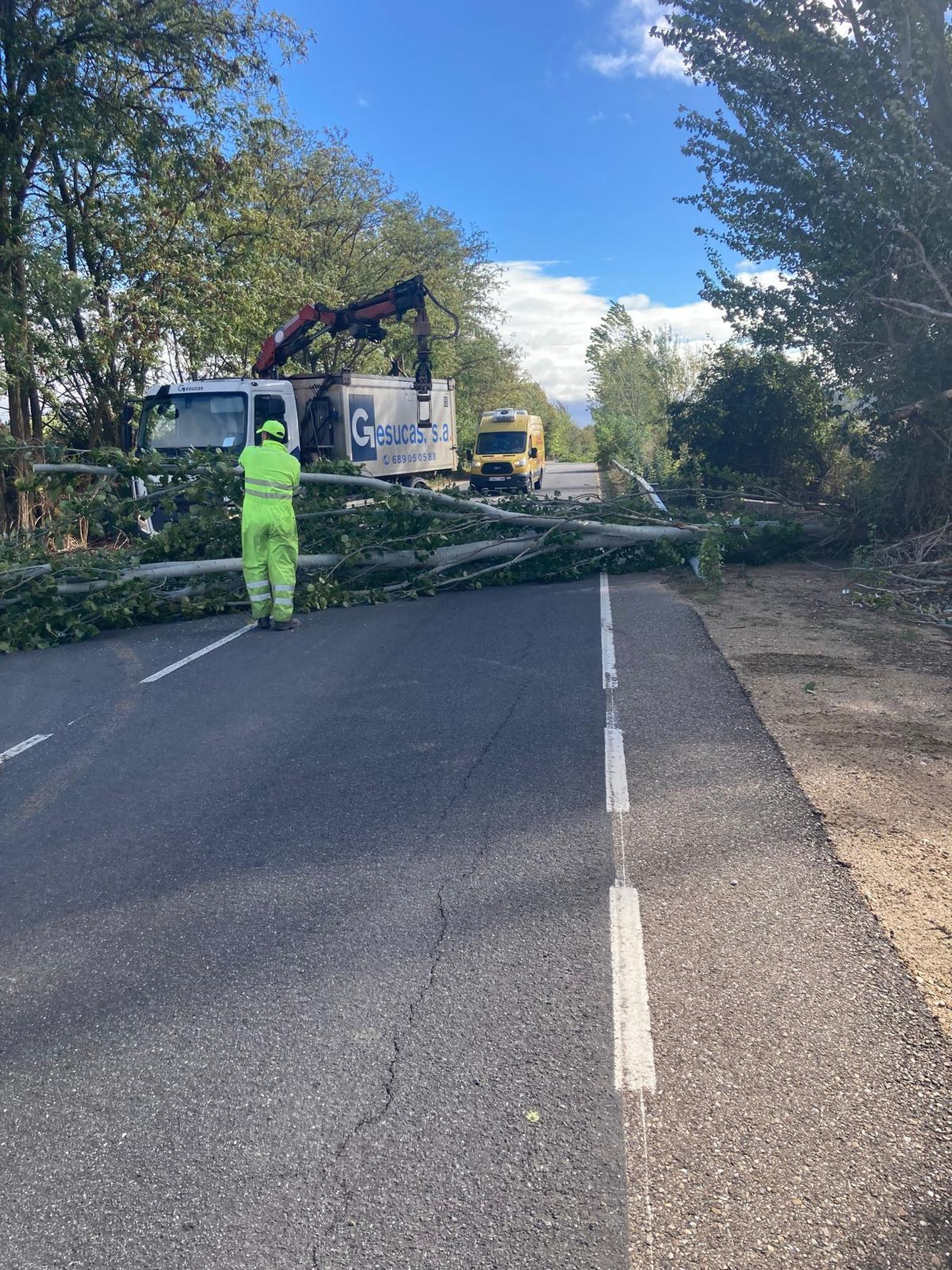 whatsapp-image-2024-10-09-at-12-49-57