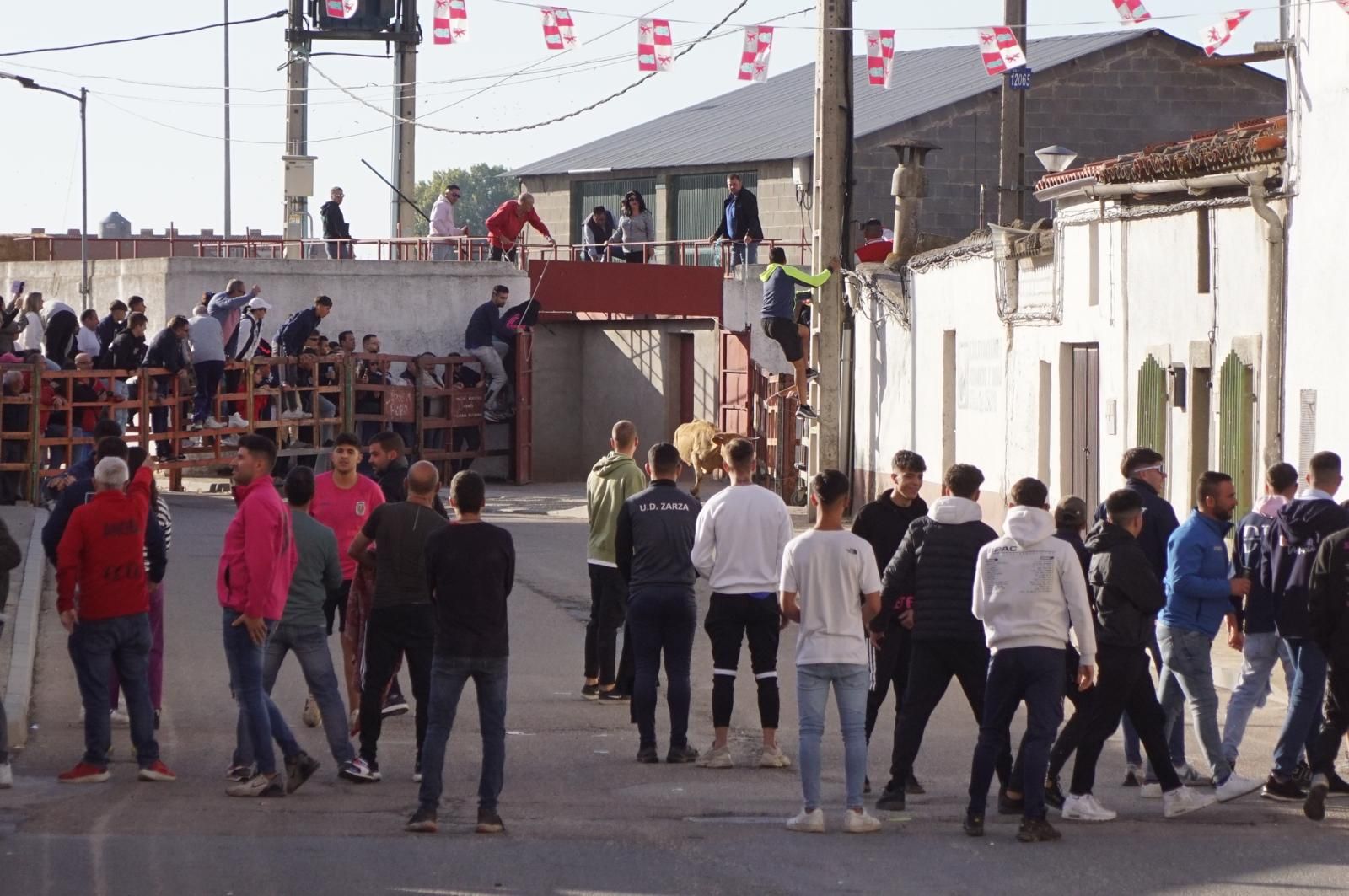 whatsapp-image-2024-09-08-at-14-04-55-2