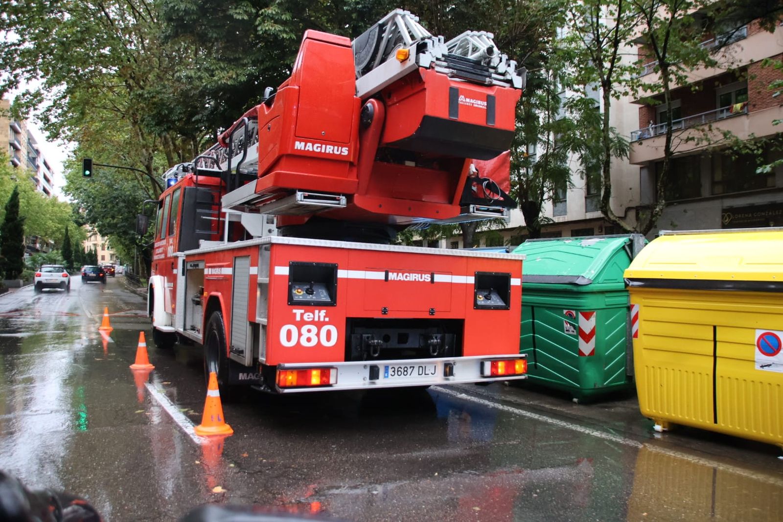 bomberos-y-policia-local-de-salamanca-actuando-en-el-paseo-de-carmelitas-por-la-caida-de-una-rama-3