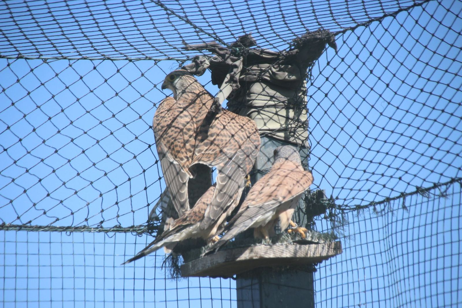 20230304150628-img-1626