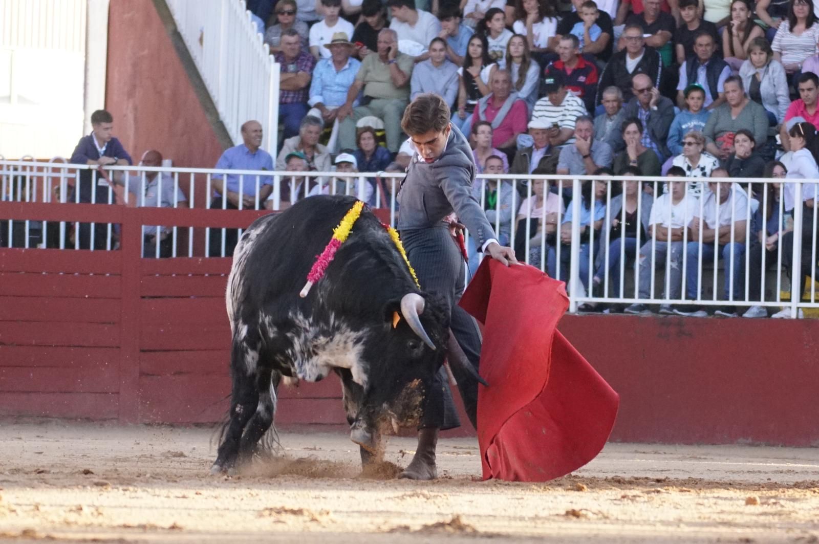 whatsapp-image-2024-09-07-at-20-48-36-5