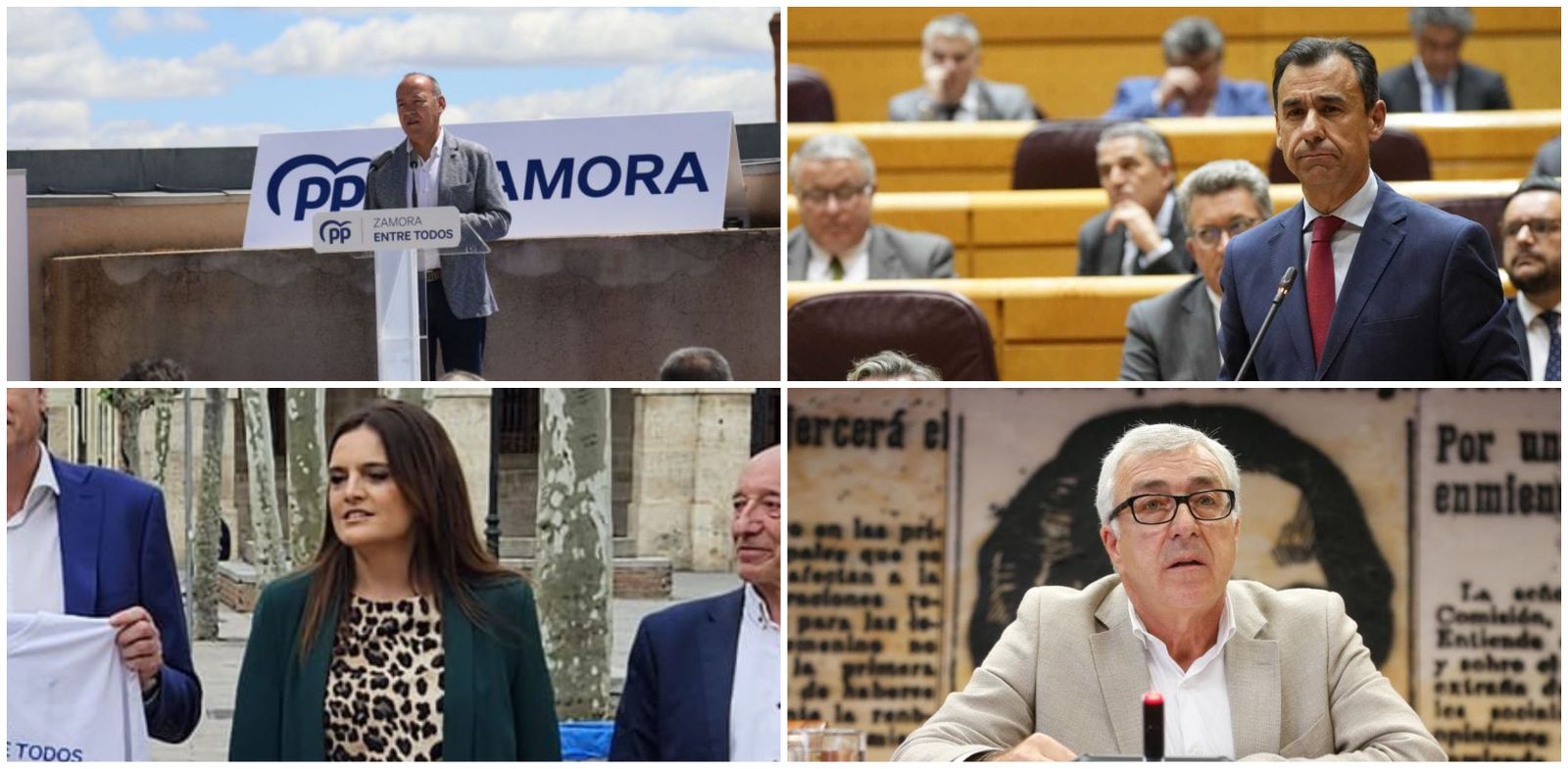 Estos son los cuatro senadores elegidos por Zamora: tres del PP y uno del PSOE