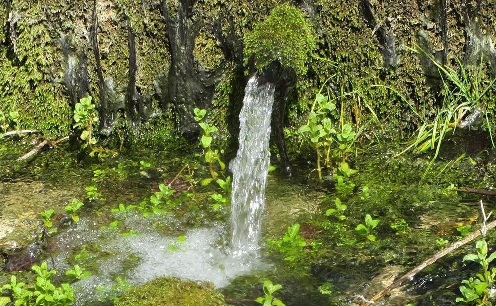 FUE Fuente La Hoz Caño Det