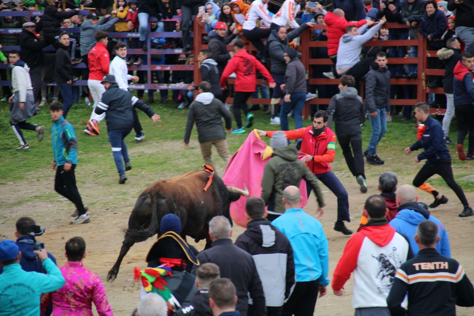 whatsapp-image-2025-03-01-at-11-56-34-1