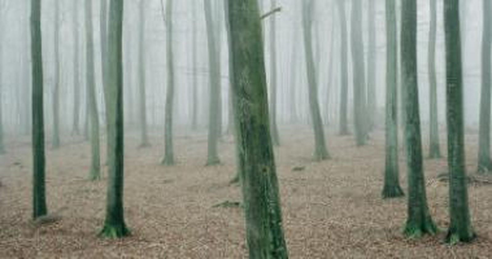 Exposición Fenómenos. Colección MUSAC. DA2 Domus Artium