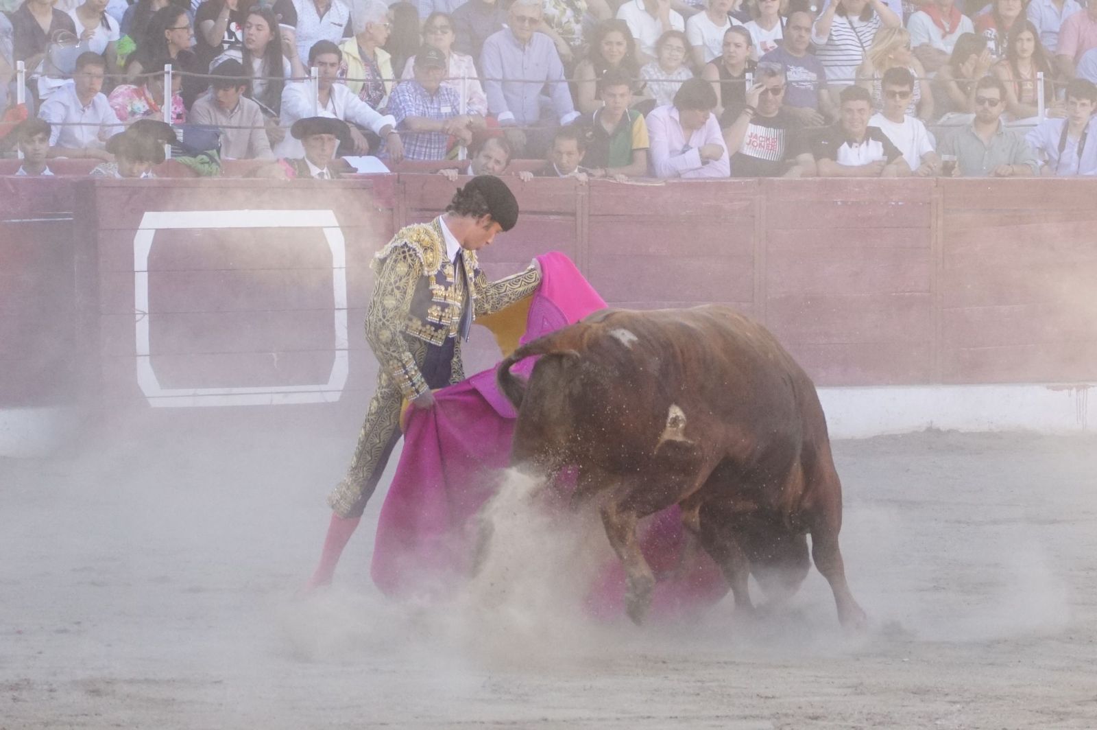 whatsapp-image-2024-06-02-at-22-12-01