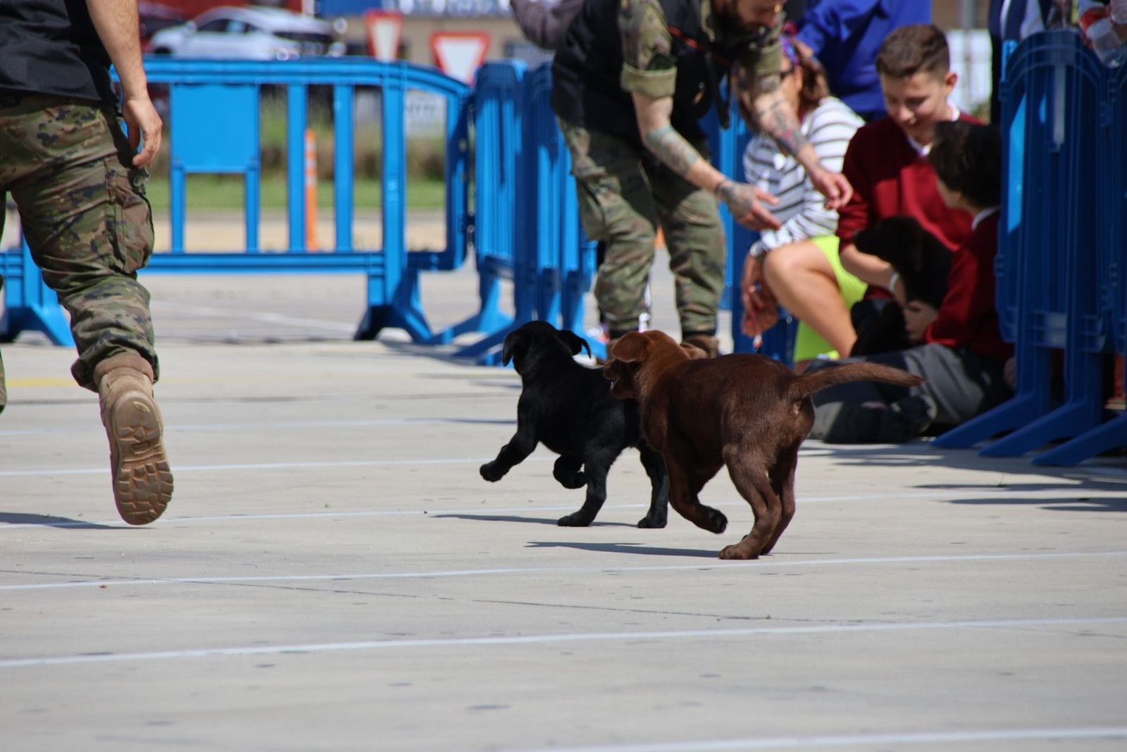 20230608102108-img-0357