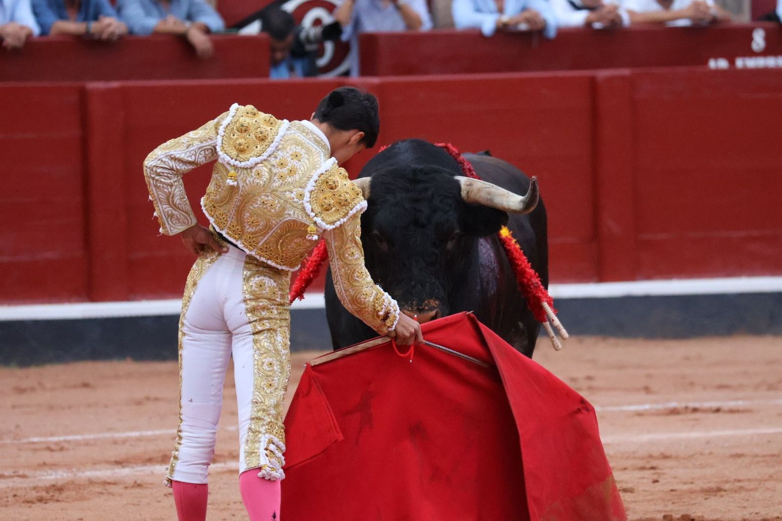 20230910192316-img-2303