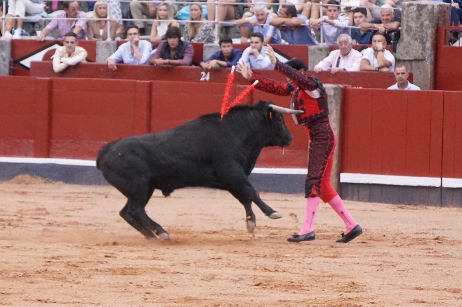 whatsapp-image-2023-09-08-at-21-23-55-1