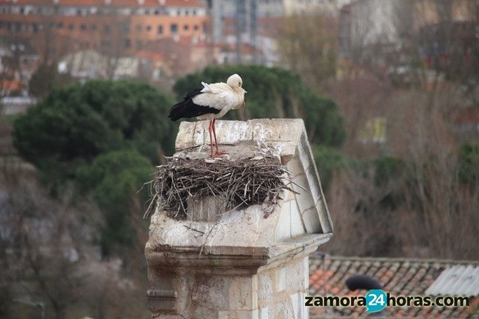 Sol y temperaturas en descenso para iniciar la semana