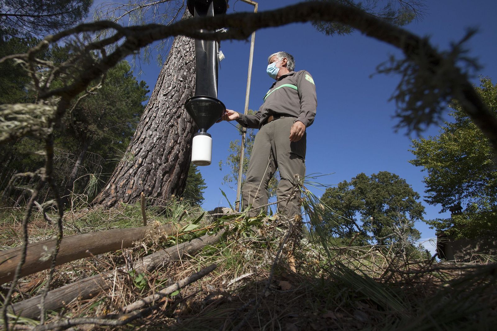 Agente medioambiental - Imagen de archivo| ICAL