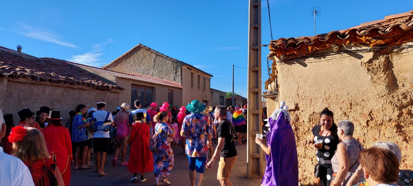 desfile-de-disfraces-en-melgar-de-tera-18