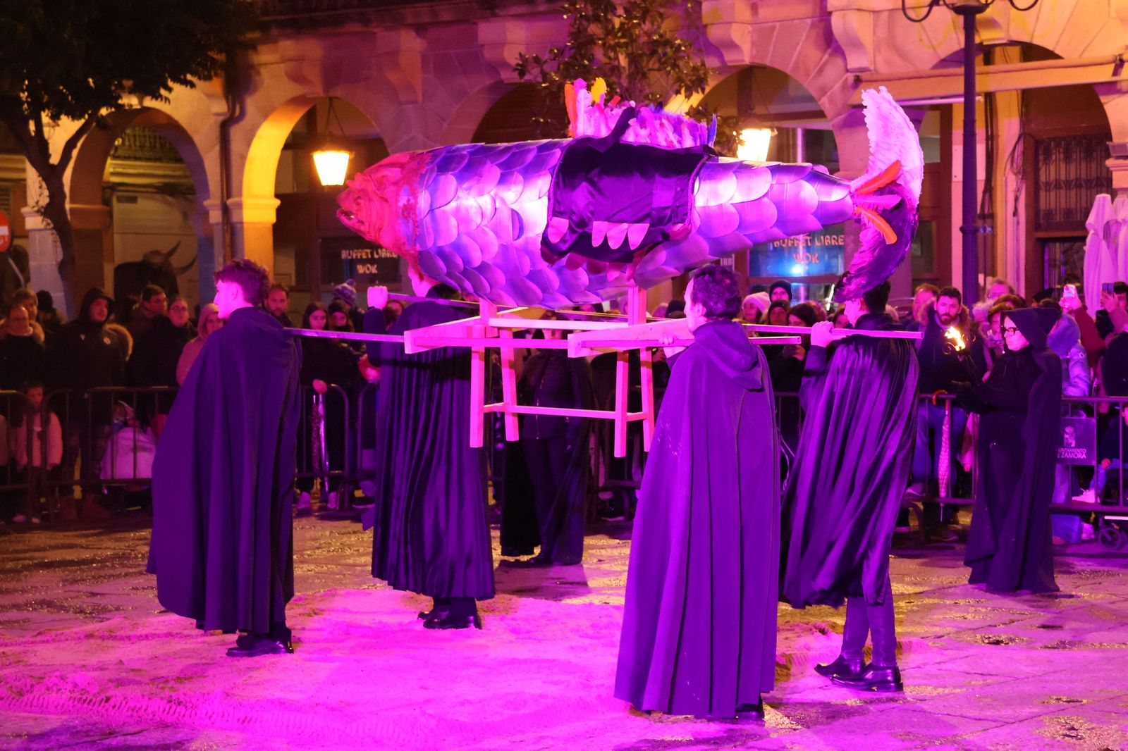 GALERÍA | Entierro de la sardina Zamora 2026