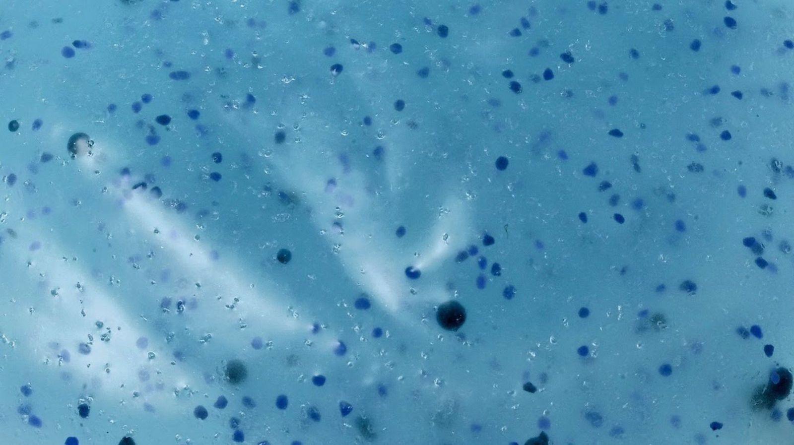 Fotonoticia 20201221103240 1920