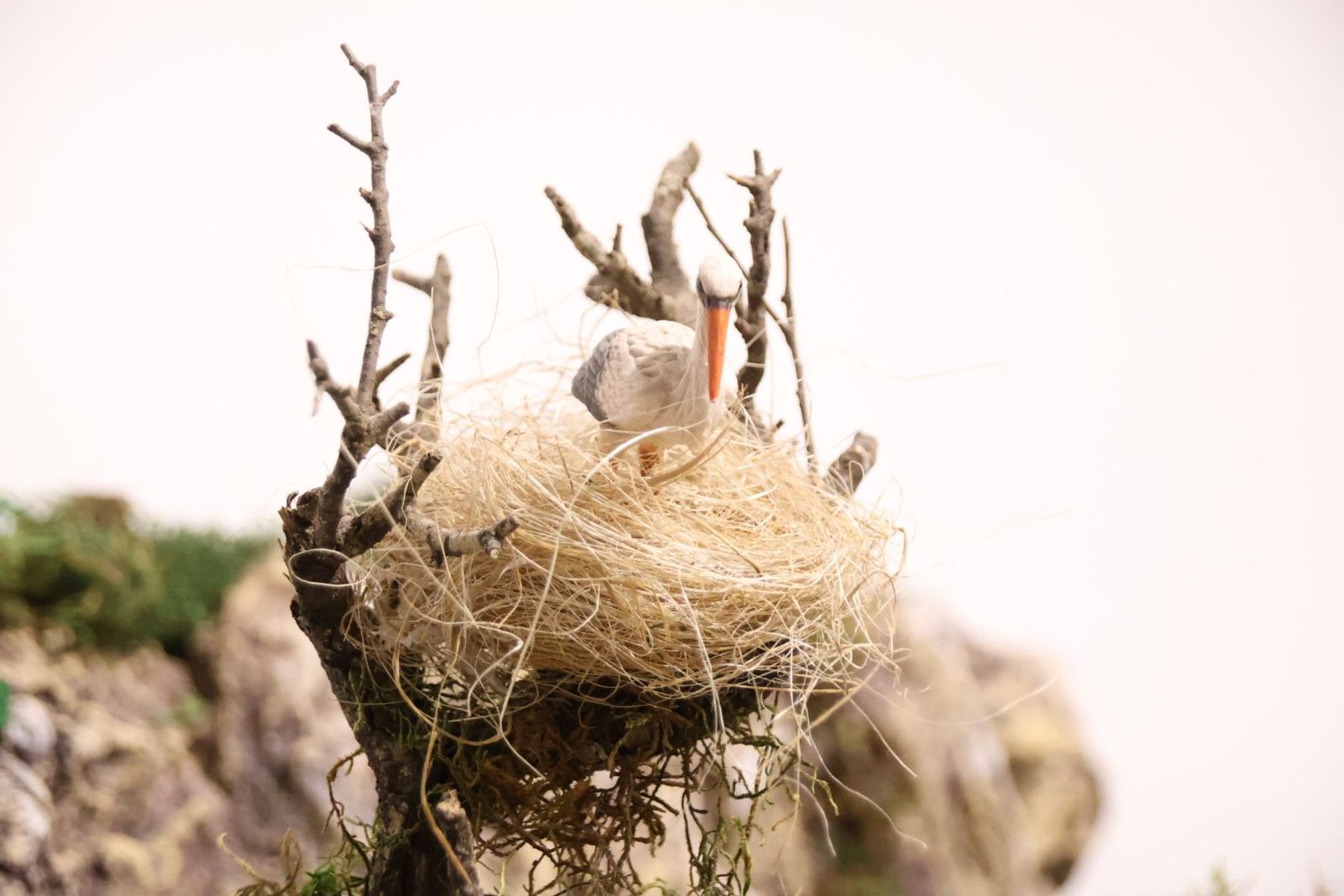 20231201133932-img-5032