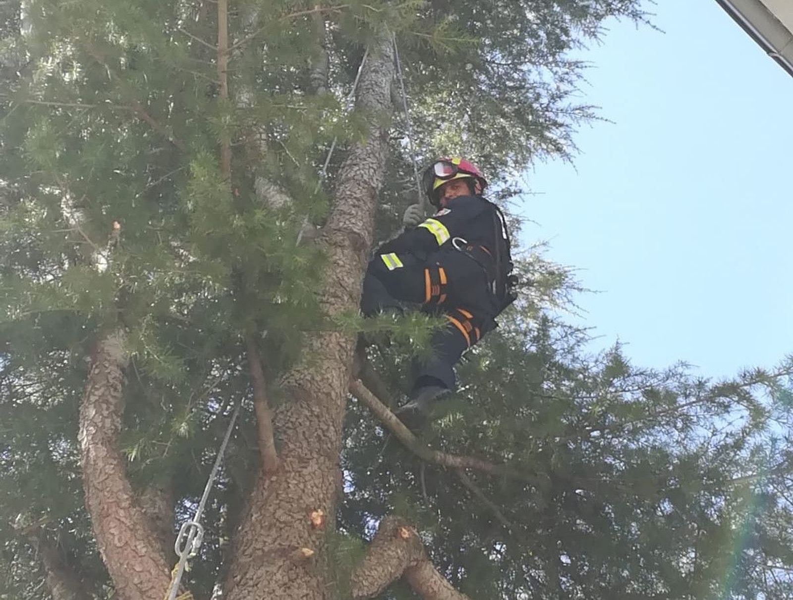 F79e978e 592f 4c3d 8e5a ebf776b18a1e