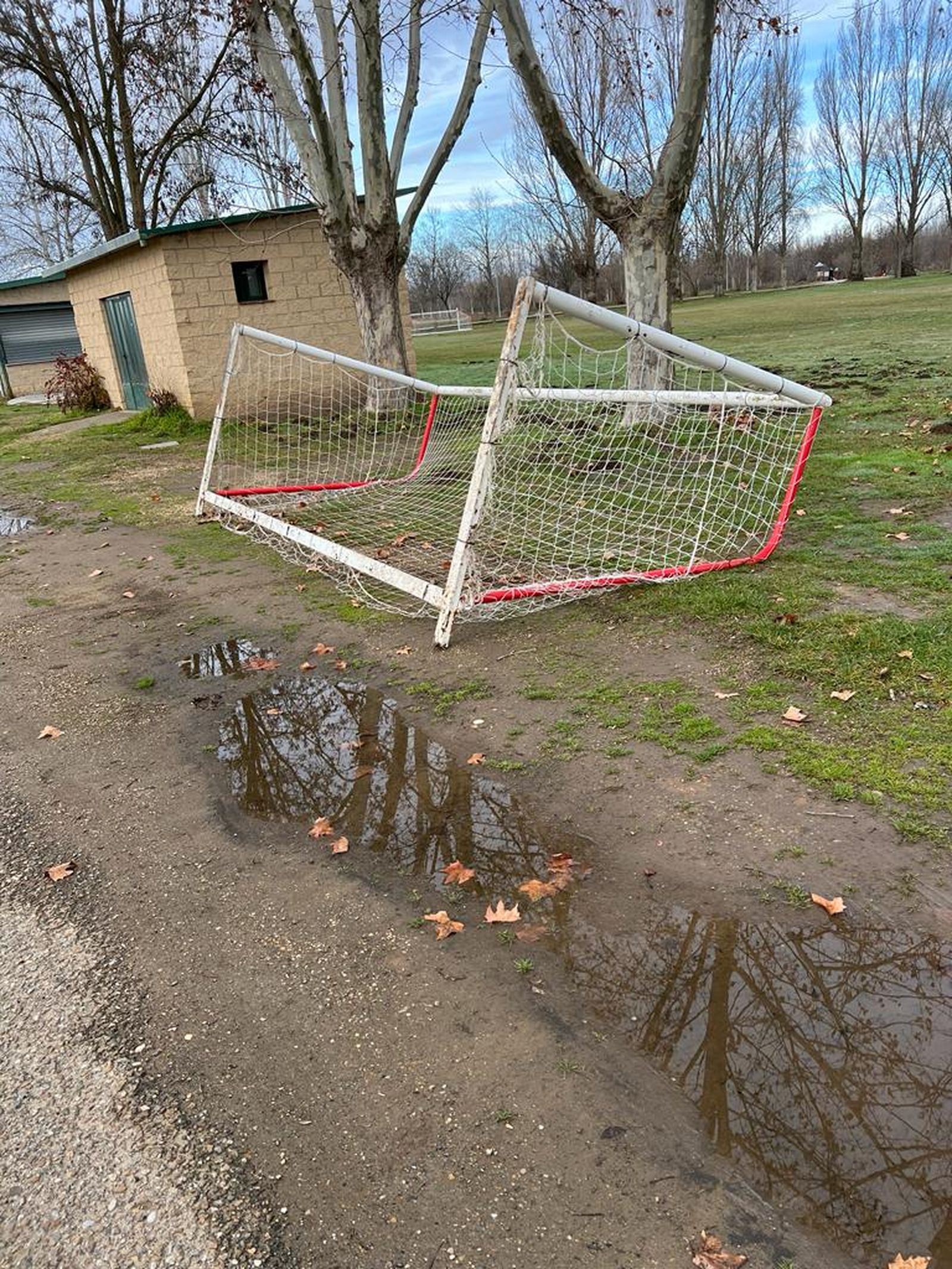 whatsapp-image-2024-01-04-at-13-16-42-3