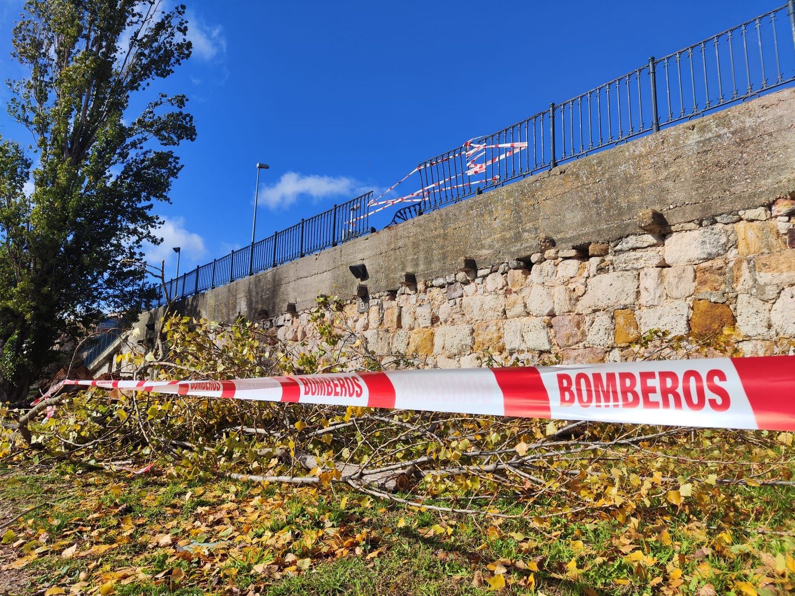 Temporal de viento en Zamora (1)