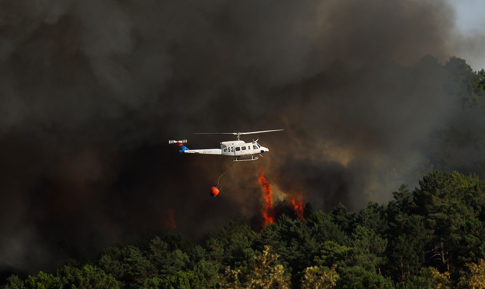 Incendio forestal en El Payo, ICAL José Vicente (3).jpg