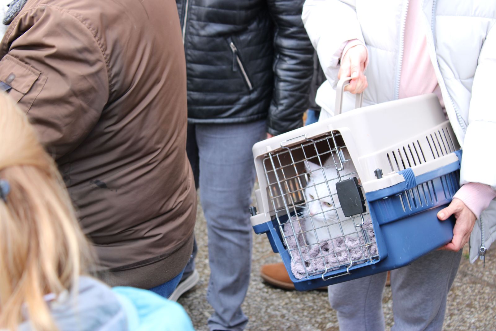 san-anton-bendicion-de-animales-2024-foto-s24h-93