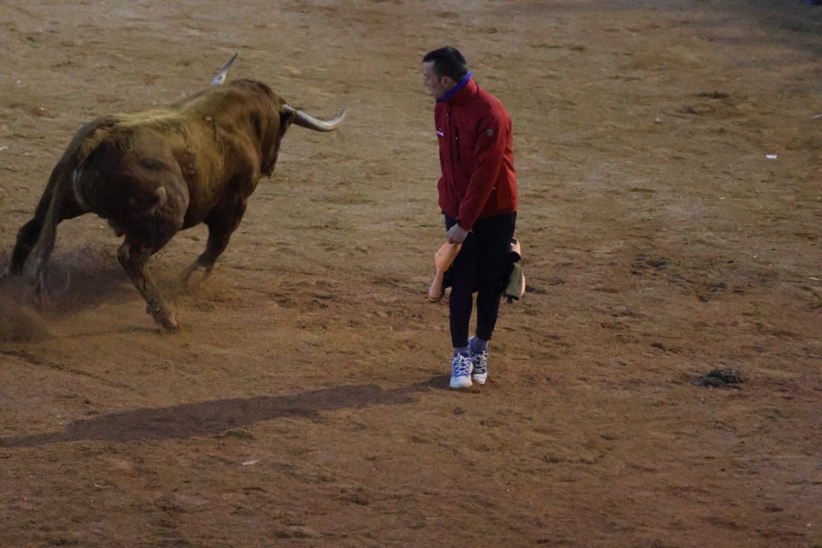 Capea de Sábado tarde en el Carnaval del Toro de Ciudad Rodrigo