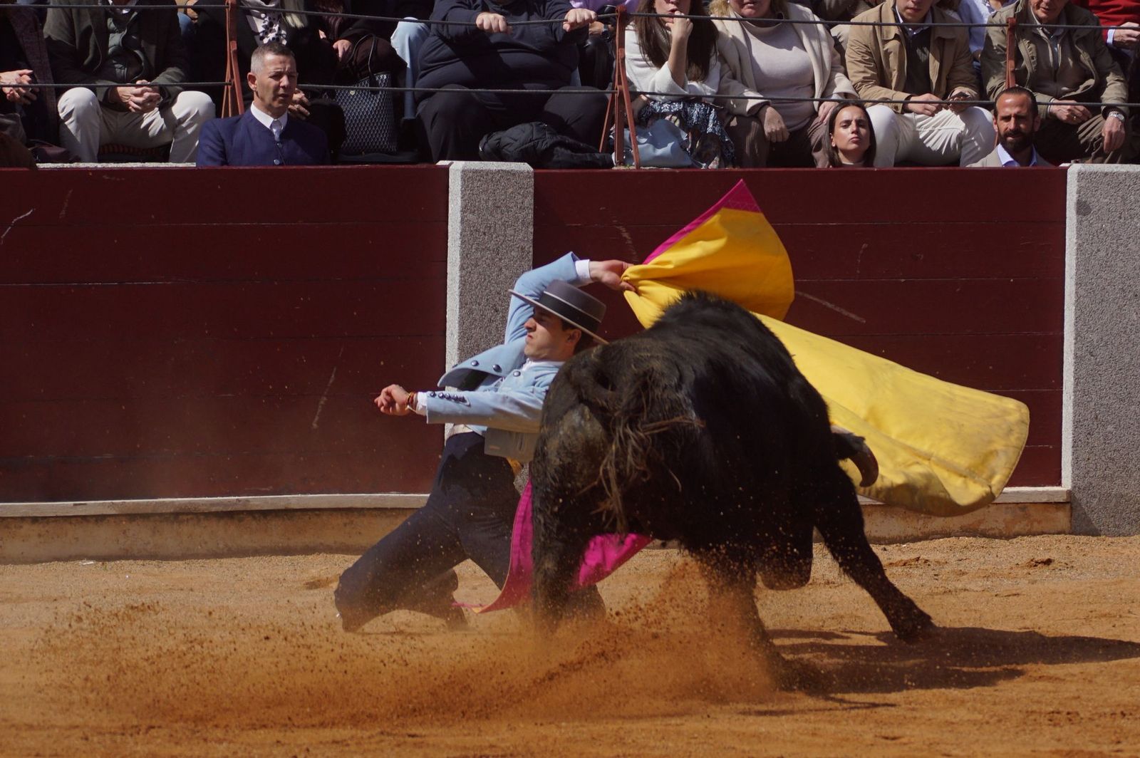 Festival taurino solidario por la esclerosis múltiple en Guijuelo