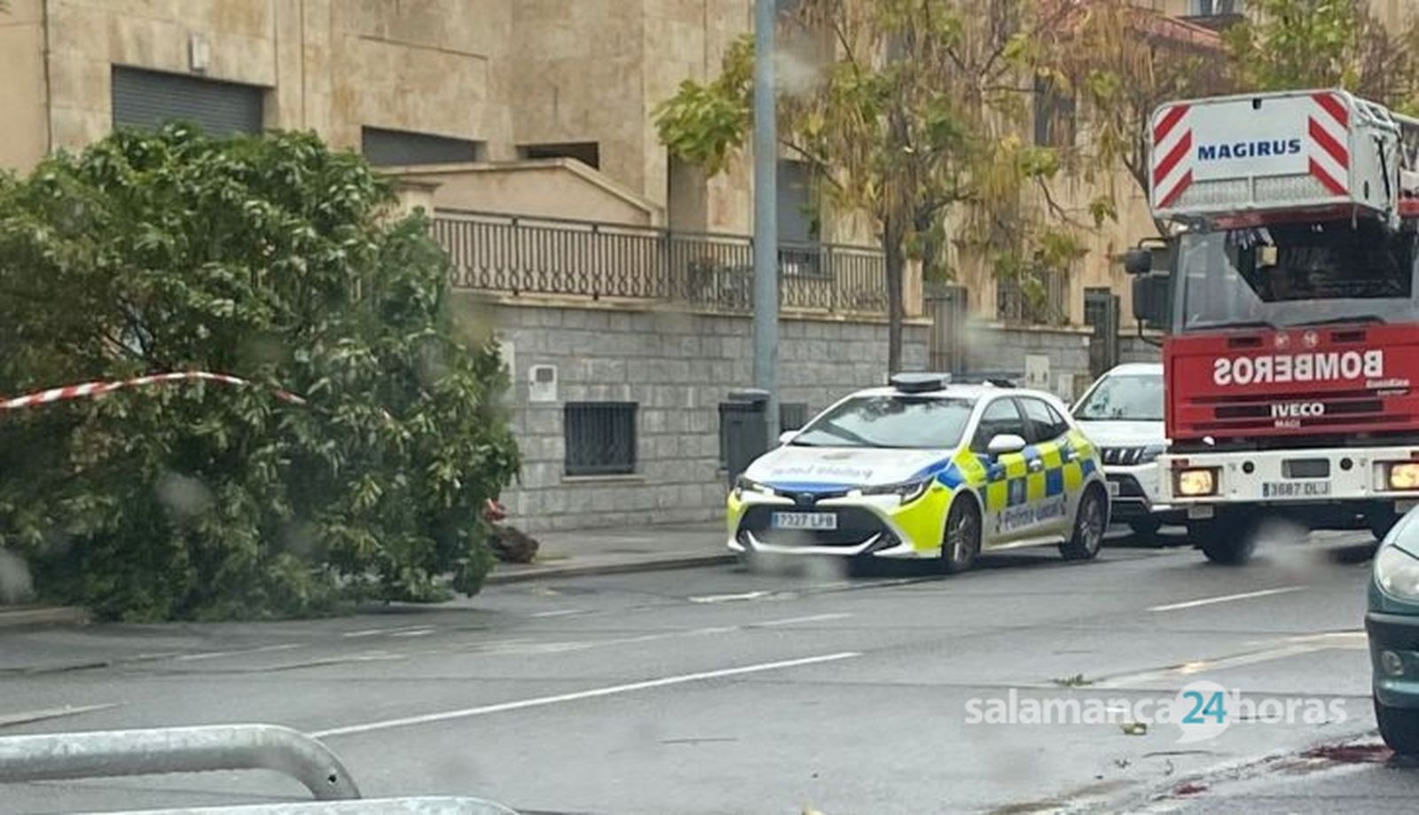 Árbol caído en el Centro de Salud de Tejares