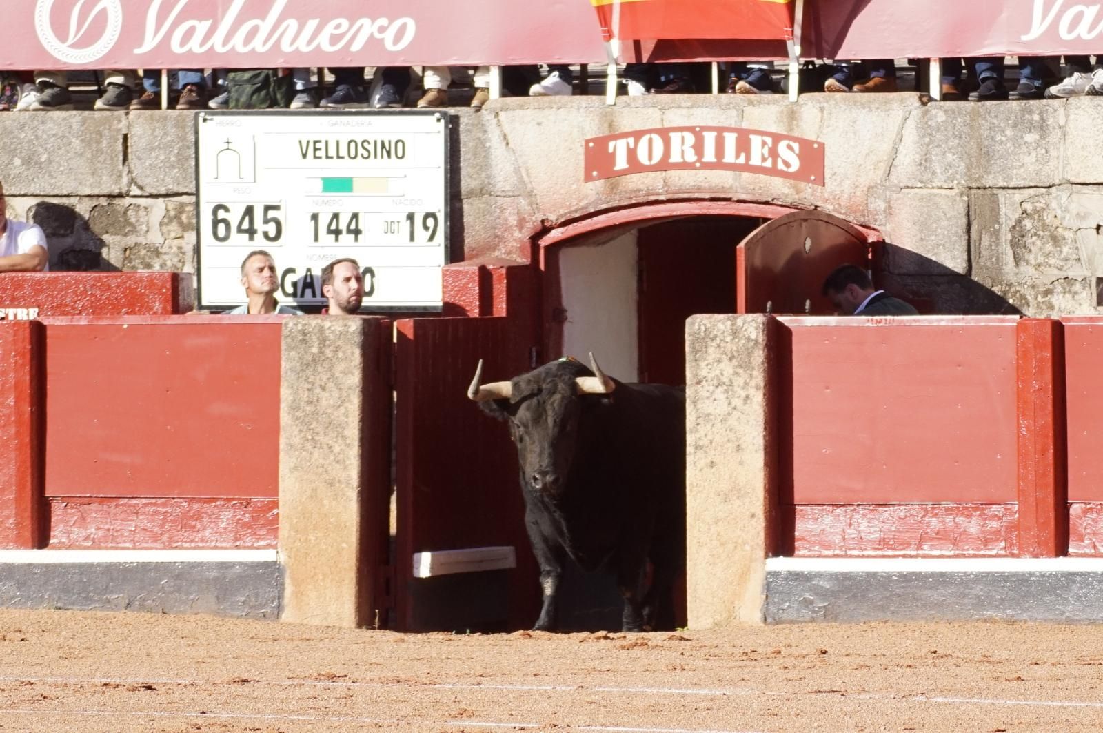 Presencia salmantina por partida doble en la primera corrida de la feria: Damián Castaño e Ismael Martín junto al mexicano Diego San Román