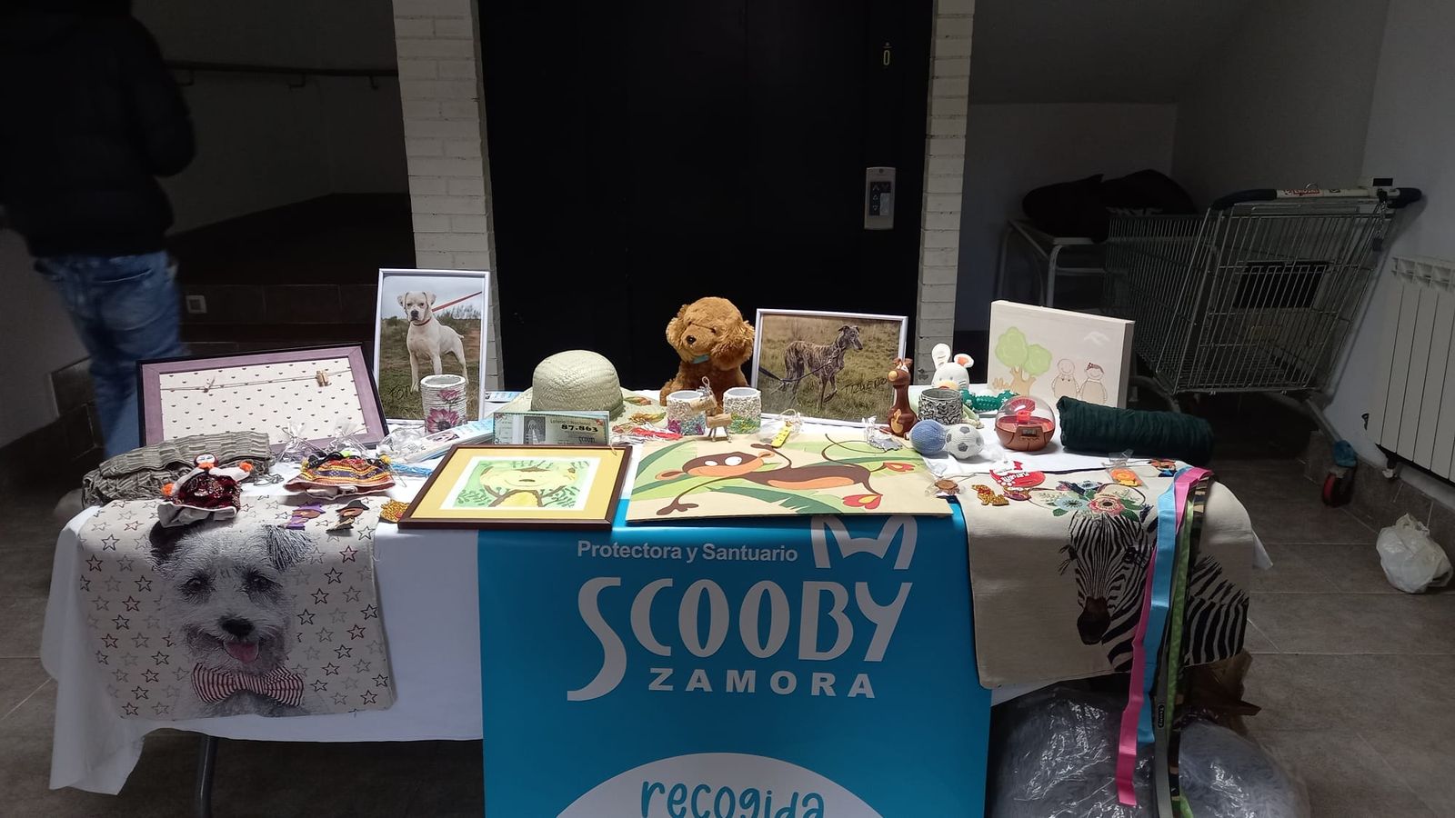 El CB Zamora apoya a la protectora Scooby Zamora