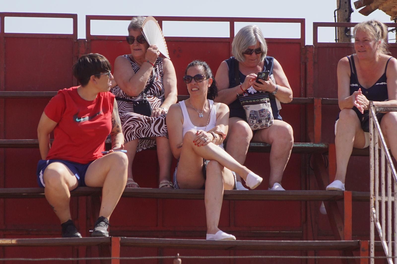 toro-de-cajon-de-castrillo-de-la-guarena-fotos-juanes-36