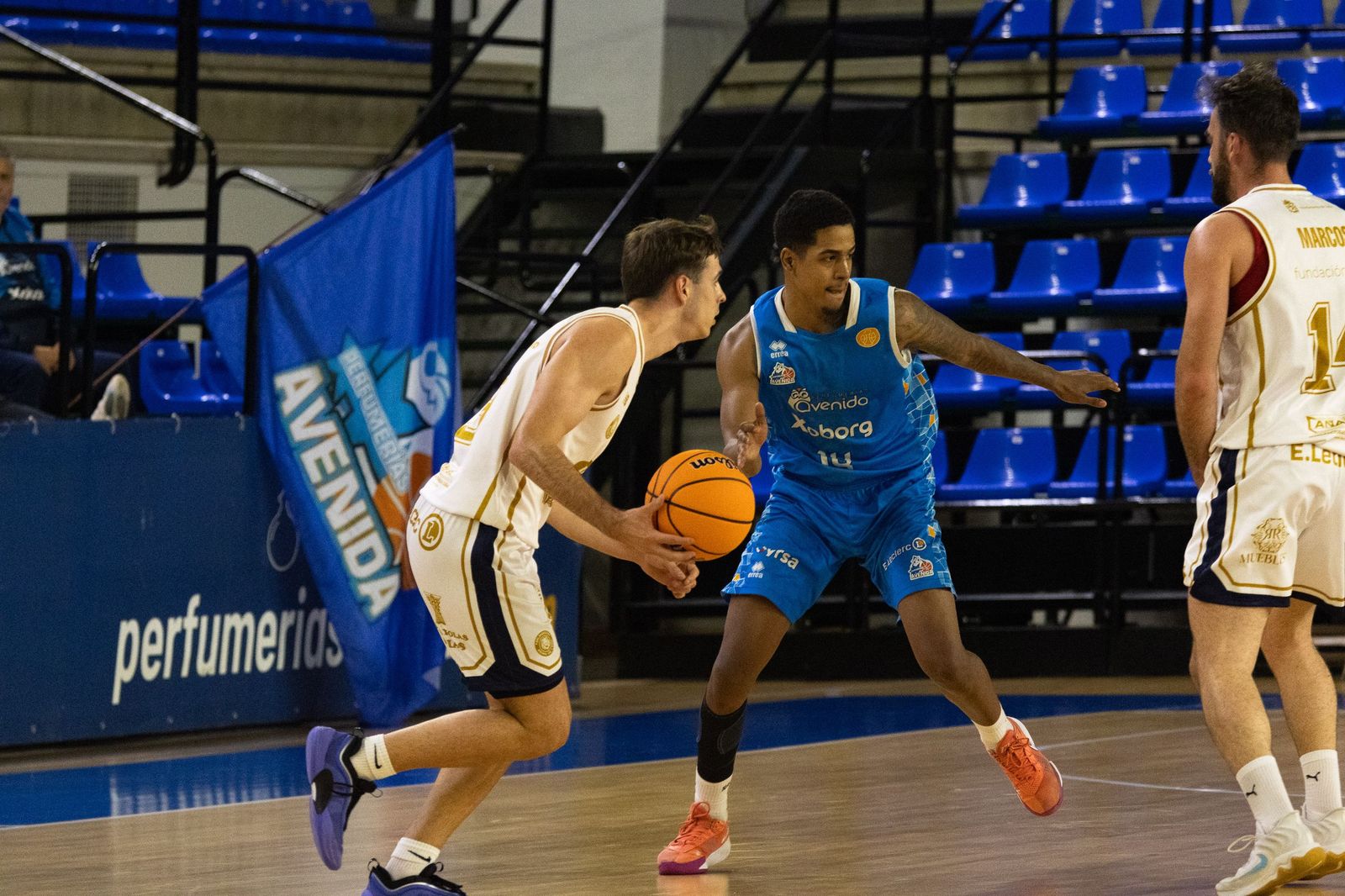 Perfumerías Avenida – Reino de León