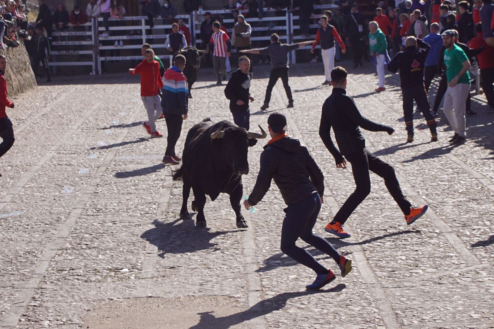 encierro-capea-y-ambiente-en-ciudad-rodrigo-en-este-lunes-de-carnaval-41