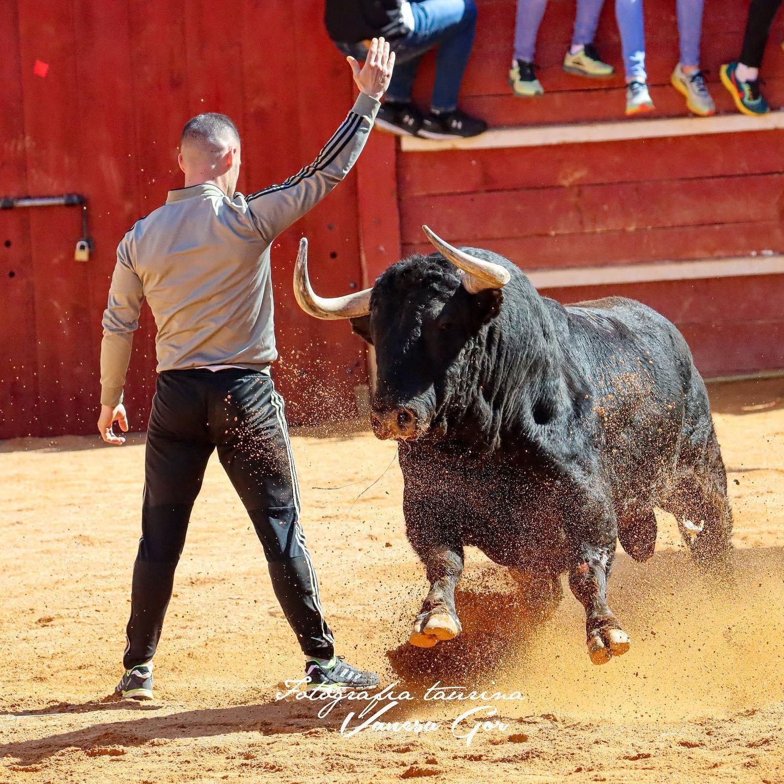 César Fernández 'Cesitar' al quiebro con un toro en la plaza de Ciudad Rodrigo