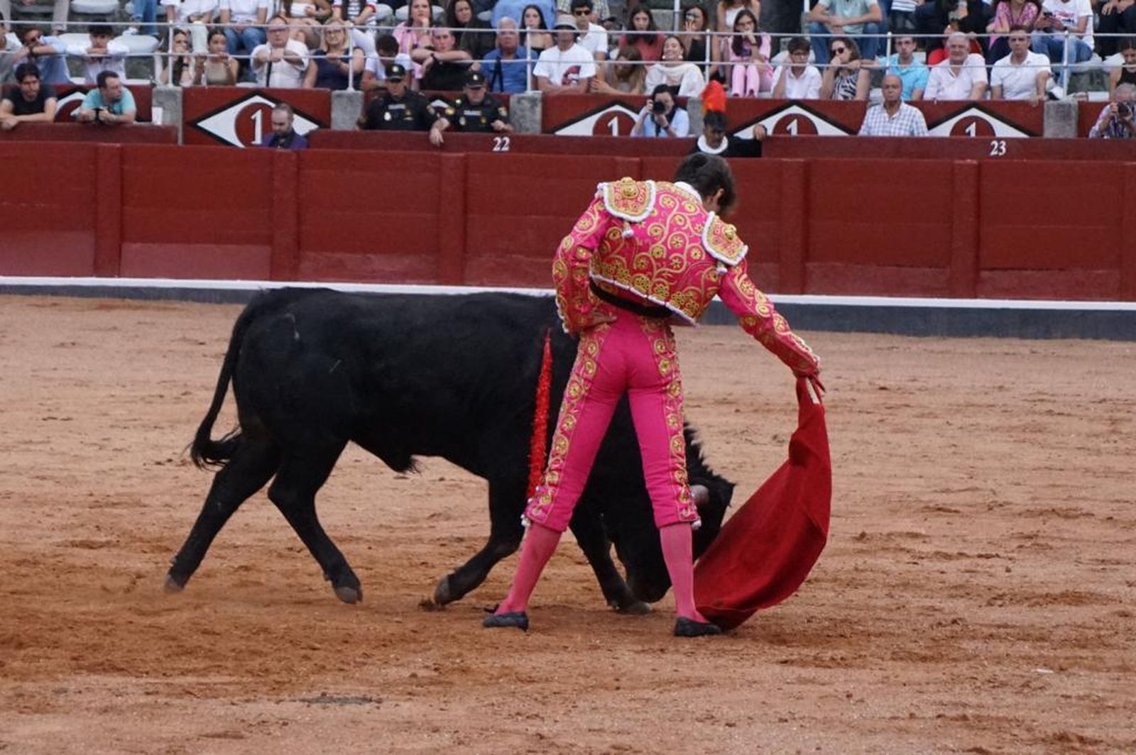 whatsapp-image-2023-09-08-at-21-24-18-5